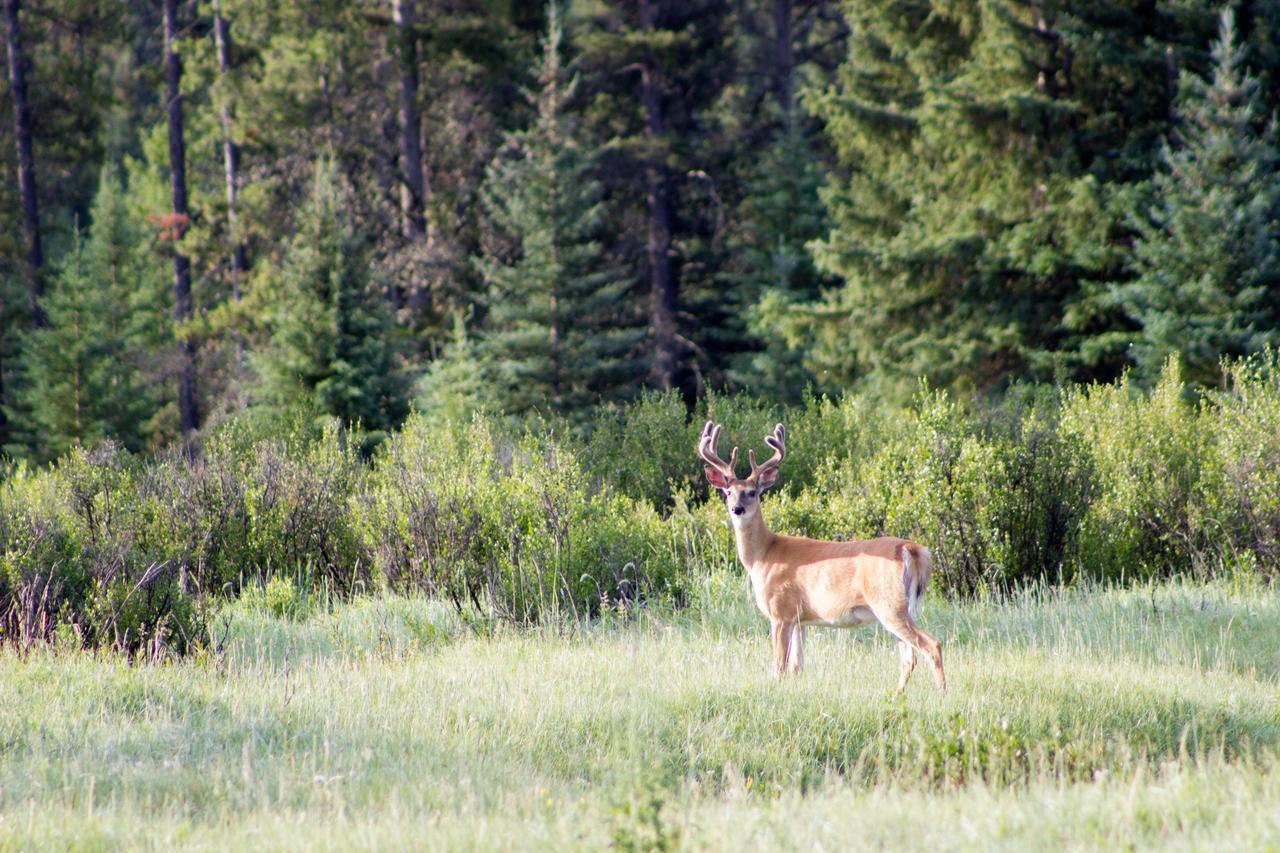 Rock Lake Lodge Rock Lake Lodge Provincial Park Exteriér fotografie